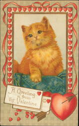 Valentine Greeting, Fluffy Orange Kitten with Hearts Postcard