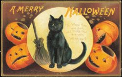 Ellen Clapsaddle Halloween Black Cat & Jack-O'-Lanterns Postcard