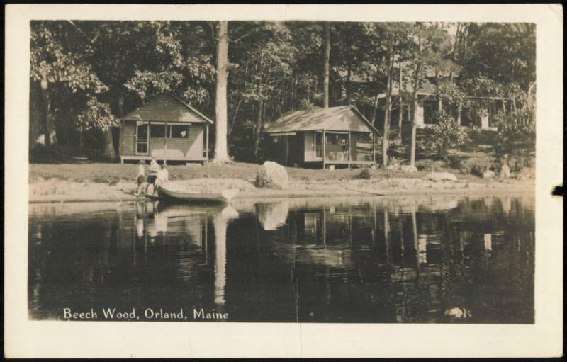 Beech Wood Cabins, Pine Shore Camps Orland Maine