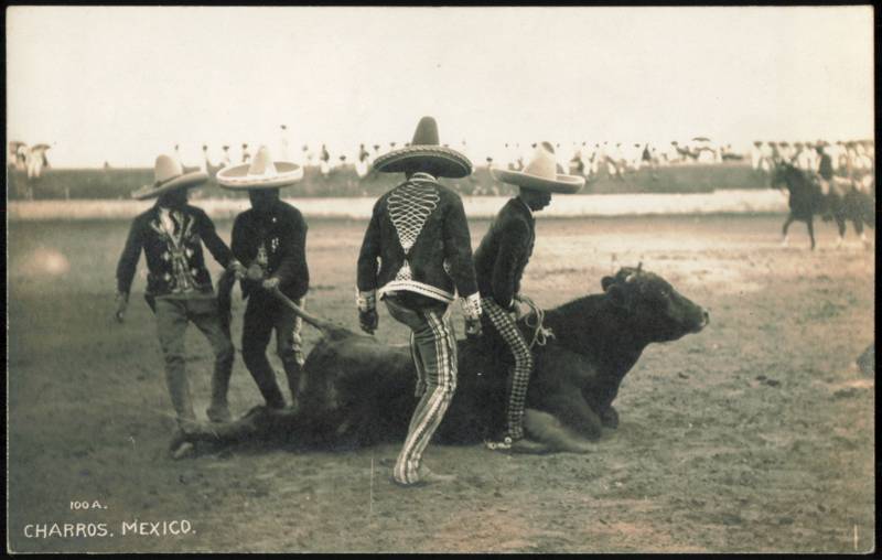 Mexican Charros with Bull in Arena, Charrería Mexico