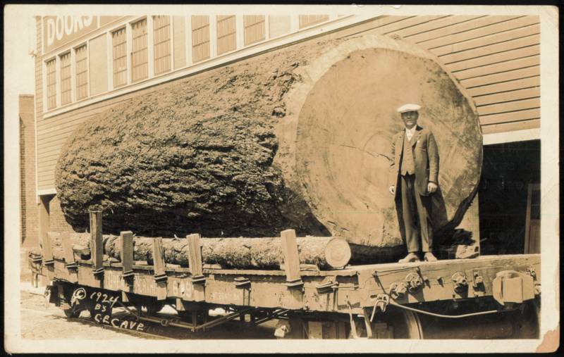 Giant 2100-Year-Old Log on Great Northern Flatcar Washington