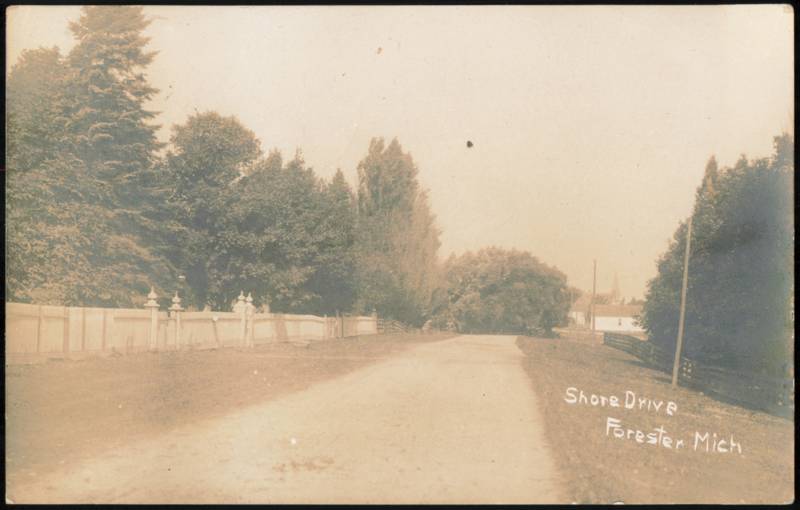 Shore Drive Tree-Lined Road and Decorative Fence Forester Michigan