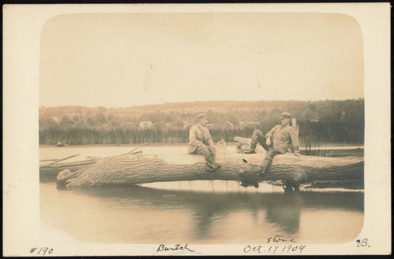 Burtch and Stone on Fallen Log over Water, 1909 Men