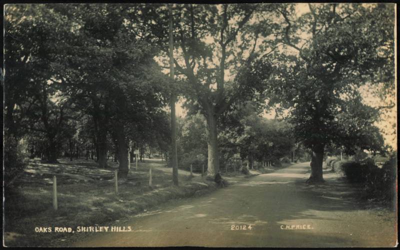 Oaks Road, Shirley Hills United Kingdom