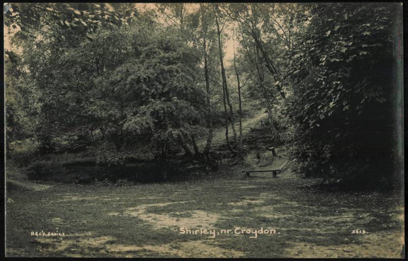 Woodland Scene with Bench, Shirley, nr. Croydon United Kingdom