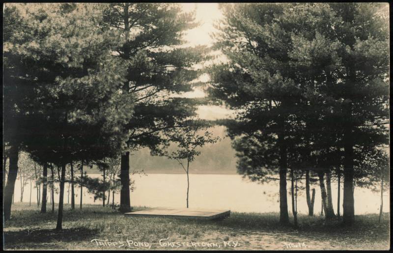 Tripp's Pond Scenic Shore View with Pines Chestertown New York