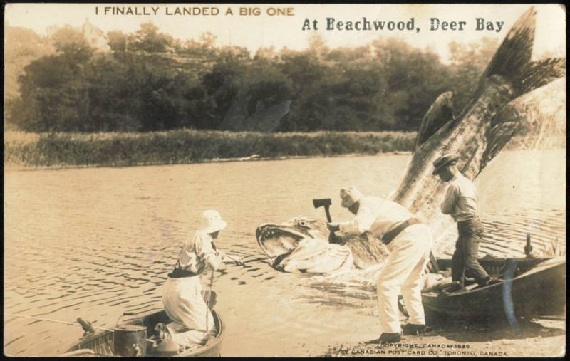 Tall Tale Giant Fish Catch, Beachwood, Deer Bay ON Canada