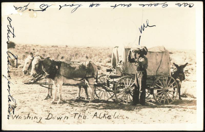 Washing Down The Alkali, Covered Wagon and Burros Utah