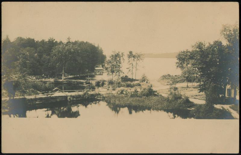 Lake View with Trees and Bridge Landscapes