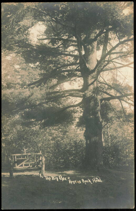 The Big Pine and Rustic Bench, Rogers Rock Hotel Ticonderoga New York