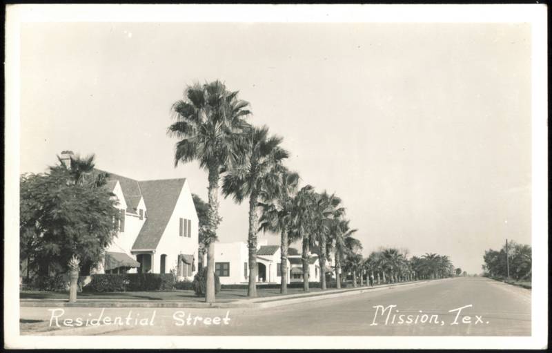 Residential Street with Palm Trees and Houses Mission Texas