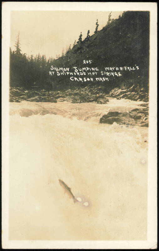 Salmon Jumping Waterfalls, Shipherd's Hot Springs Carson Washington