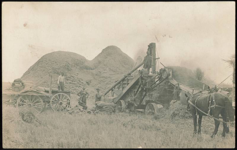 Threshing Machine Crew & Horse near Three Forks Willow Creek Montana