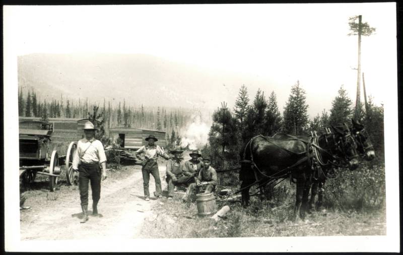 Lumberjacks and Horse Team at Logging Camp