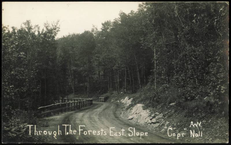 Through The Forests East Slope, Mohawk Trail Massachusetts