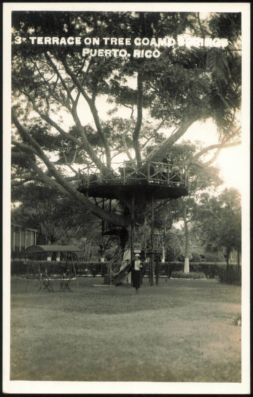 3rd Terrace on Tree at Coamo Springs Puerto Rico