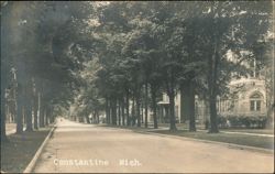 Tree-Lined Residential Street with Historic Homes Postcard