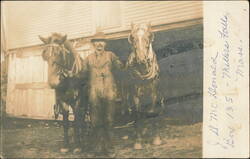 Working Man with Team of Draft Horses Postcard