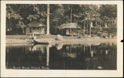 Beech Wood Cabins, Pine Shore Camps Postcard