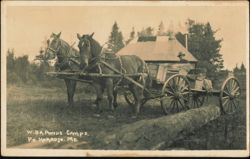 W. Br. Ponds Camps Horse-Drawn Buckboard Wagon Team Postcard