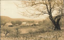 Molly Stark Trail Farmstead View Postcard