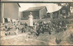 Woman Surrounded by Flock of Chickens on Farm Postcard