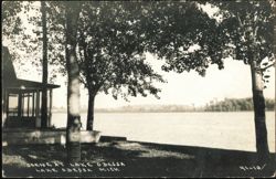 Scene at Lake Odessa with Cottage and Shoreline Trees Postcard