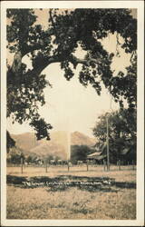The Geyser Postcard