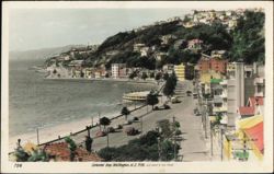 Oriental Bay Waterfront and Beach, Colored Postcard