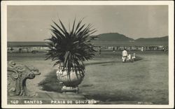 Praia do Gonzaga Beach Promenade and Urn Postcard