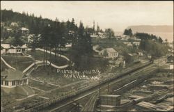 Mukilteo Lumber Co. and Town View Postcard