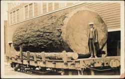 Stock #1215944 Thumbnail
