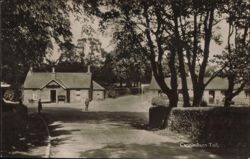 Canniesburn Toll Road Scene and Cottages Postcard