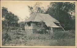 Nipa House Postcard