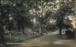 Oaks Road, Shirley Hills Postcard