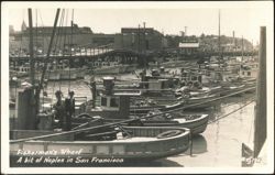 Fisherman's Wharf, A bit of Naples Postcard