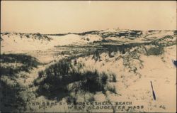 Sand Dunes at Wingaersheek Beach Postcard