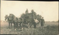 Farmers with Horse-Drawn Wagon Loaded with Hay in Field Postcard