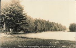 Tripp's Lake Looking North Postcard