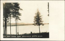 View from Fisher Camp, Stillwater, Beaver River Postcard