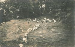 Anniversary Pageant Bingham Studio 1912 Postcard