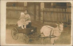 Children in Studebaker Goat Cart Pulled by Goat Postcard