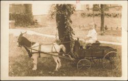 Child in Studebaker Junior Goat Cart with Goat Postcard