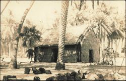 1936 Hawaiian Grass House Surrounded by Palm Trees Postcard
