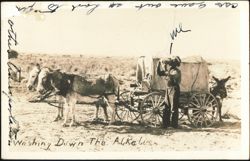 Washing Down The Alkali, Covered Wagon and Burros Postcard