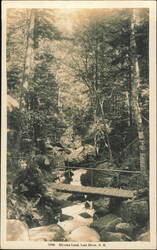 Elysian Land Footbridge Over Stream, Lost River Postcard