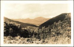 Mount Washington from Crawford Notch Postcard