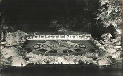 Illuminated Bloemen Uurwerk Flower Clock in Public Garden Postcard