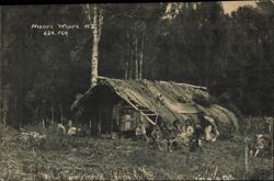 Maori Whare with Family and Dog Postcard