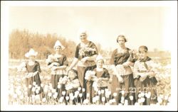 Nelis Tulip Fields Family in Traditional Dutch Dress Postcard